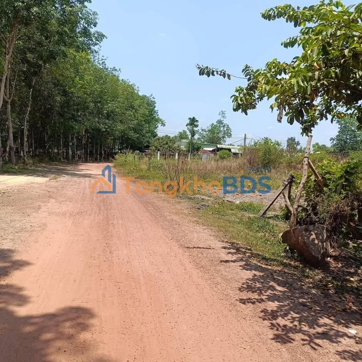 Đất nền Phú Giáo 325m² giá 600 triệu - Sổ đỏ chính chủ