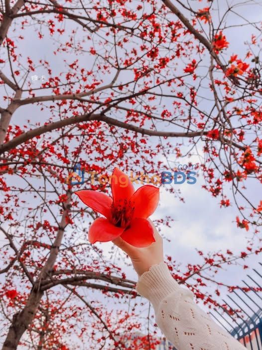 Nhà cho thuê Tây Mỗ Nam Từ Liêm 6PN - Full nội thất sẵn ở