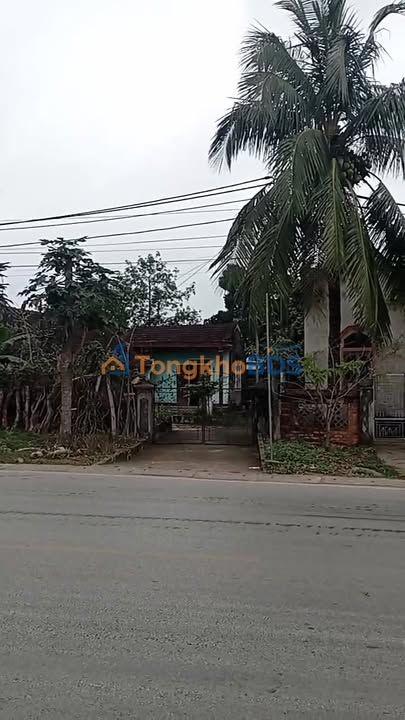 Đất nền QL48A Quỳnh Lưu 200m² 3 tỷ - Sổ đỏ chính chủ