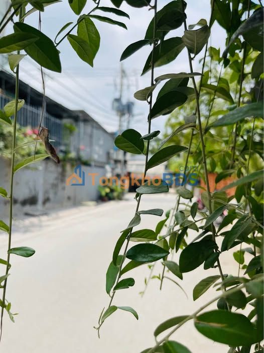 Dãy trọ Huỳnh Tấn Phát 5.6x22m 6 tỷ - Chính chủ bán