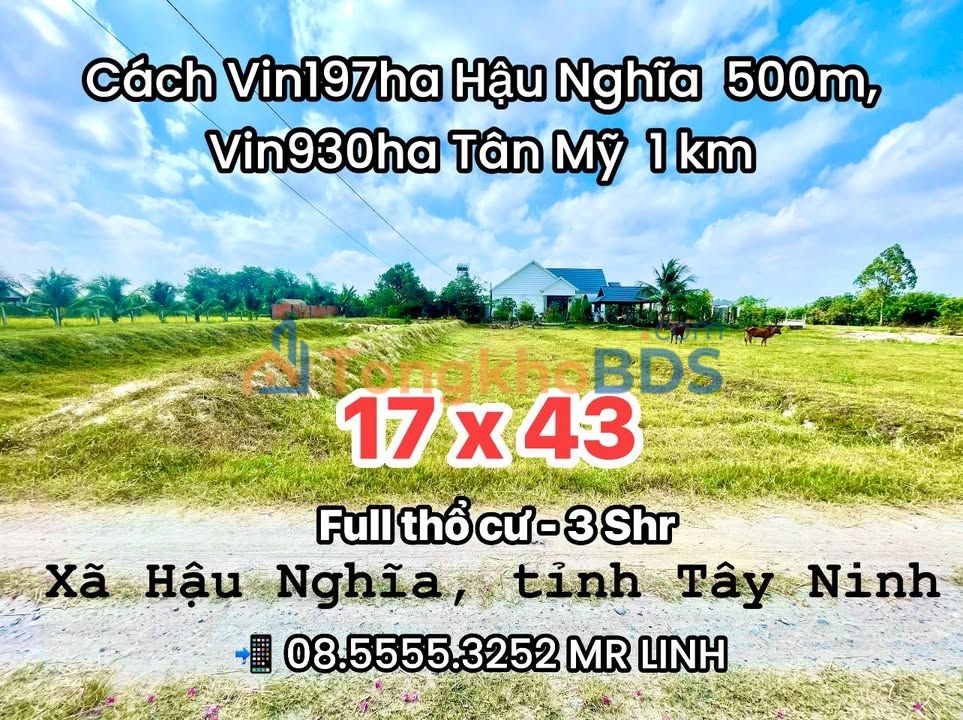Đất nền Tân Mỹ Đức Hòa 215m² 860 triệu - Sổ đỏ chính chủ