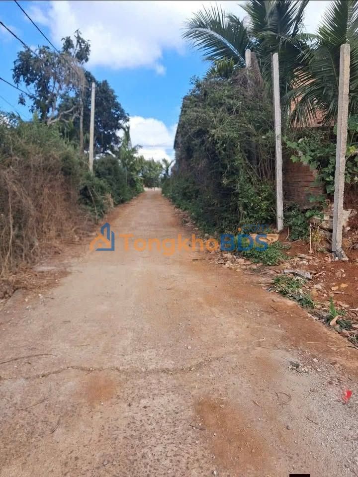 Đất nền Buôn Hồ Hẻm Mạc Đỉnh Chi 150m² 980tr - Sổ đỏ chính chủ