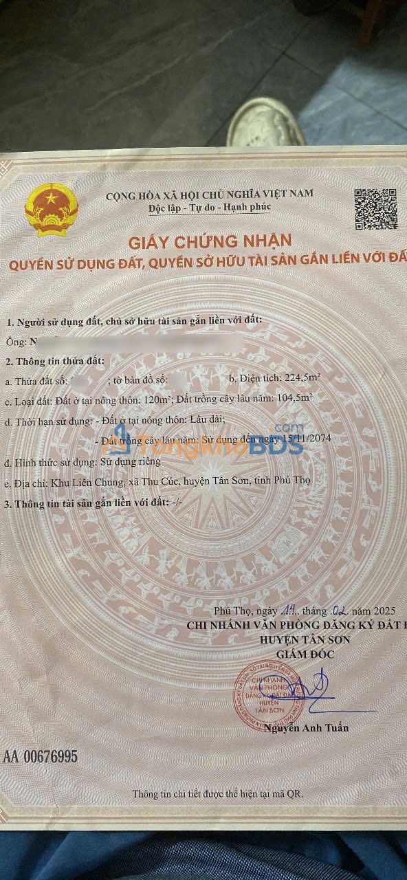 Đất nền Thu Cúc Tân Sơn 224m2 – Sổ đỏ chính chủ