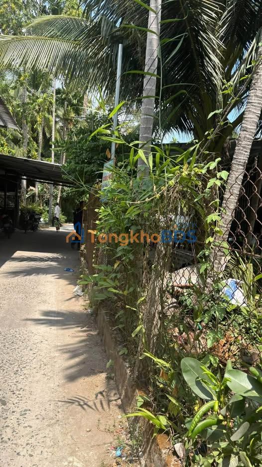 Đất nền An Bình Ninh Kiều 309m² 1,85 tỷ - Đầu tư dài hạn