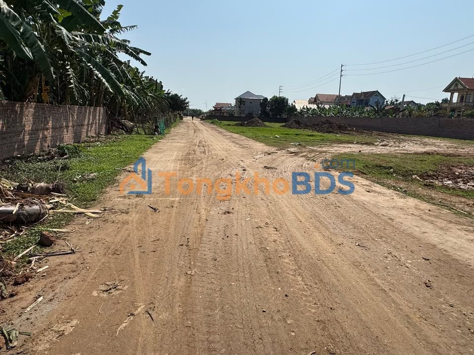 Đất nền Bản Nguyên Lâm Thao 228m² - Sổ đỏ chính chủ