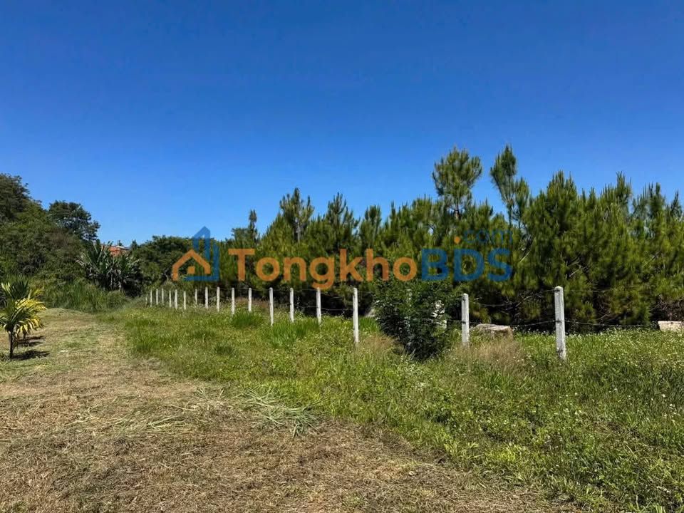 Đất nền Phường 1 Bảo Lộc 4433m² 5 tỷ - Tiềm năng tăng giá