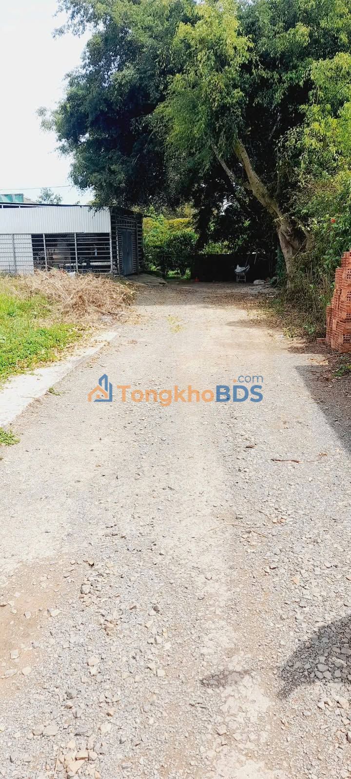 Đất nền Thôn 12 Lộc Thành 240m² 1 tỷ - Sổ đỏ chính chủ