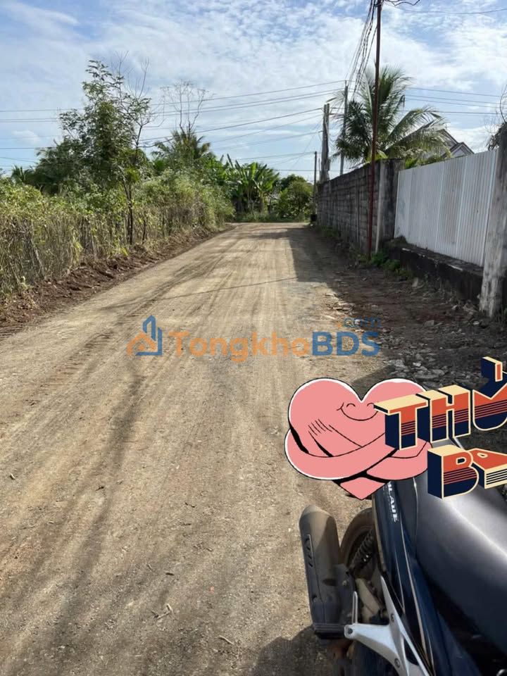 Đất Thôn 8 Thành Công 225m² 750 triệu - Xây dựng tự do