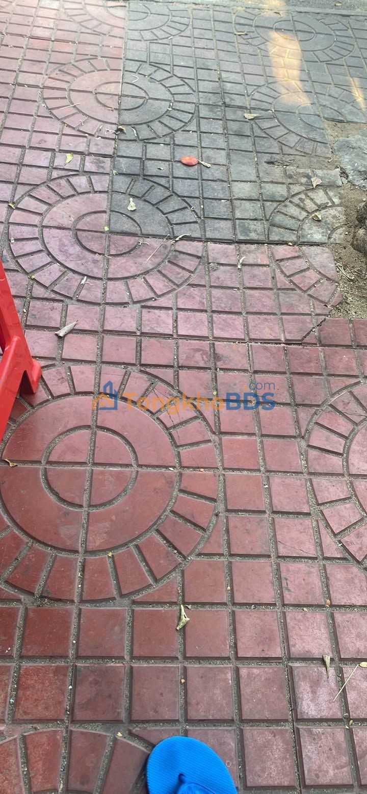 Nhà nguyên căn Nguyễn Thái Học 126m² 17 triệu - Ô tô vào nhà