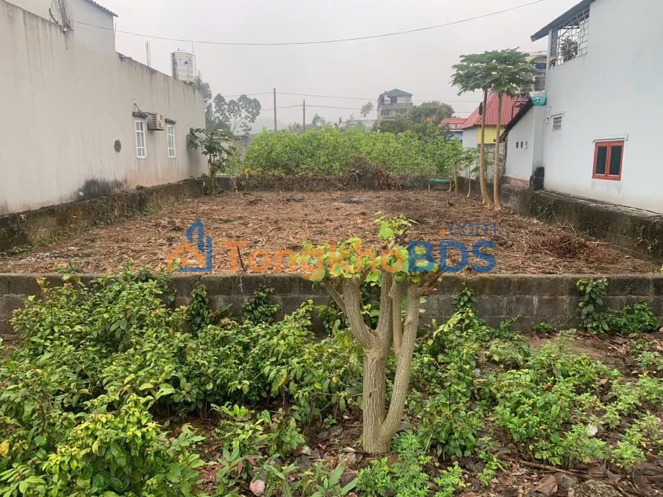 Đất Hồ Chí Minh An Phú Mỹ Đức 225m² giá 2 tỷ - Sổ đỏ chính chủ, đất vuông đẹp