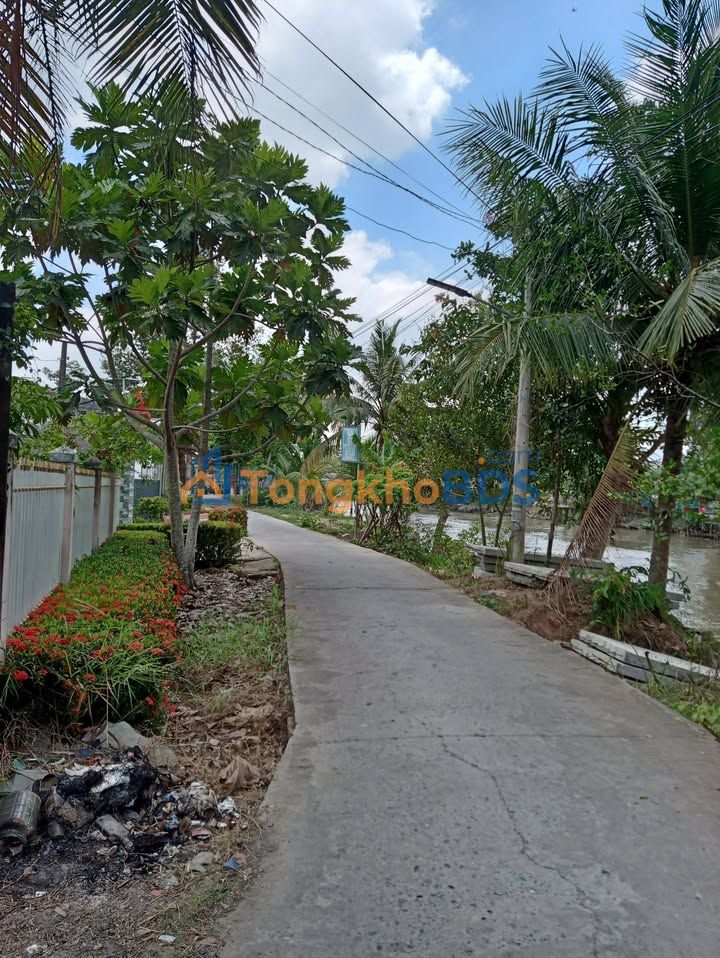 Đất nền Đại Thành 303m² 950tr - Xây dựng tự do