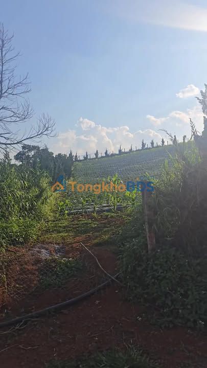 Đất Nam Ban Lâm Hà 1800m² 2.4 tỷ - Sổ đỏ chính chủ