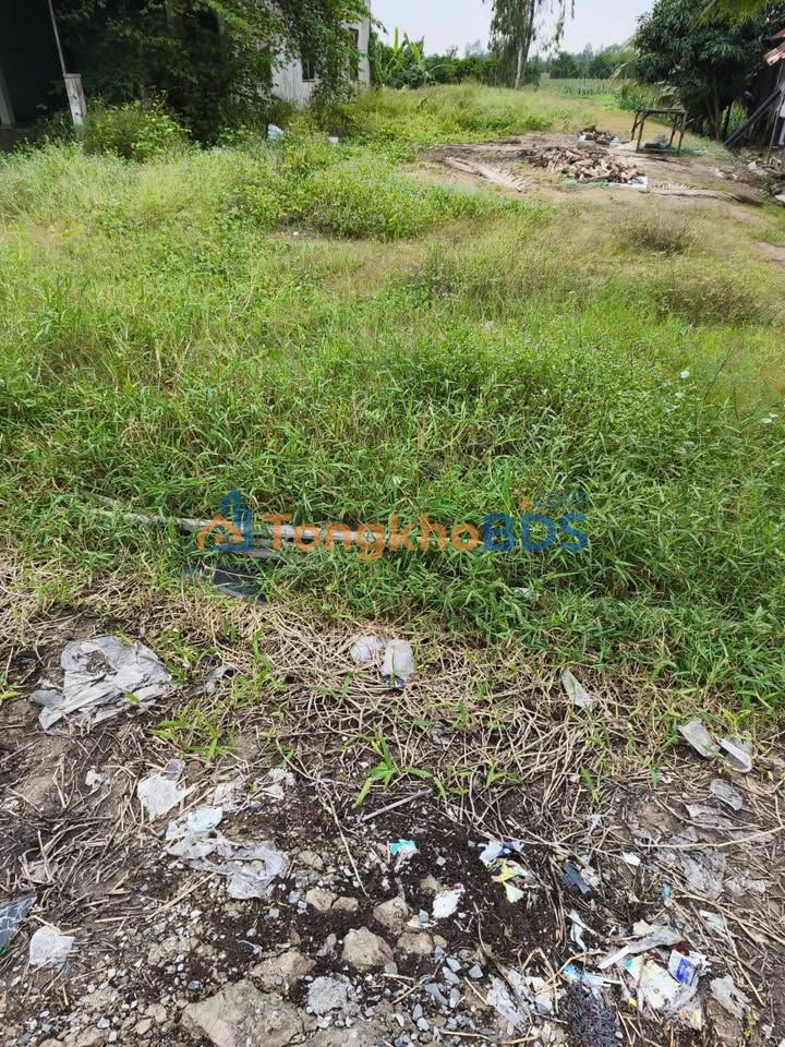 Đất nền QL30 Tân Thạnh 1.026m² - Sổ đỏ chính chủ