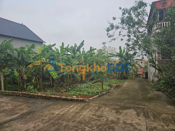 Đất nền Yên Thế Bắc Giang 100m² 500 triệu - Sổ đỏ chính chủ