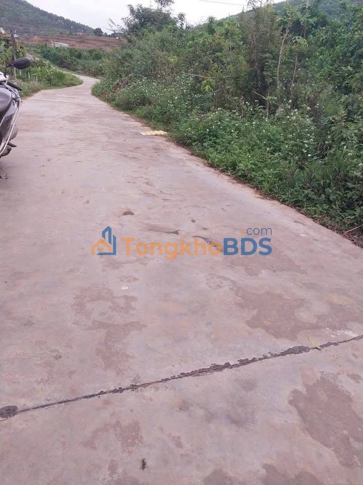 Đất nền Nam Dương Từ Sơn 720m² 1,1 tỷ - Đường to ô tô