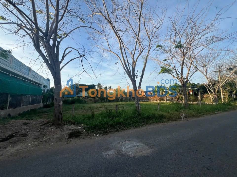 Đất nền HL16 Tân Thủy Ba Tri 702m² 4.68 tỷ - Đường ô tô vào