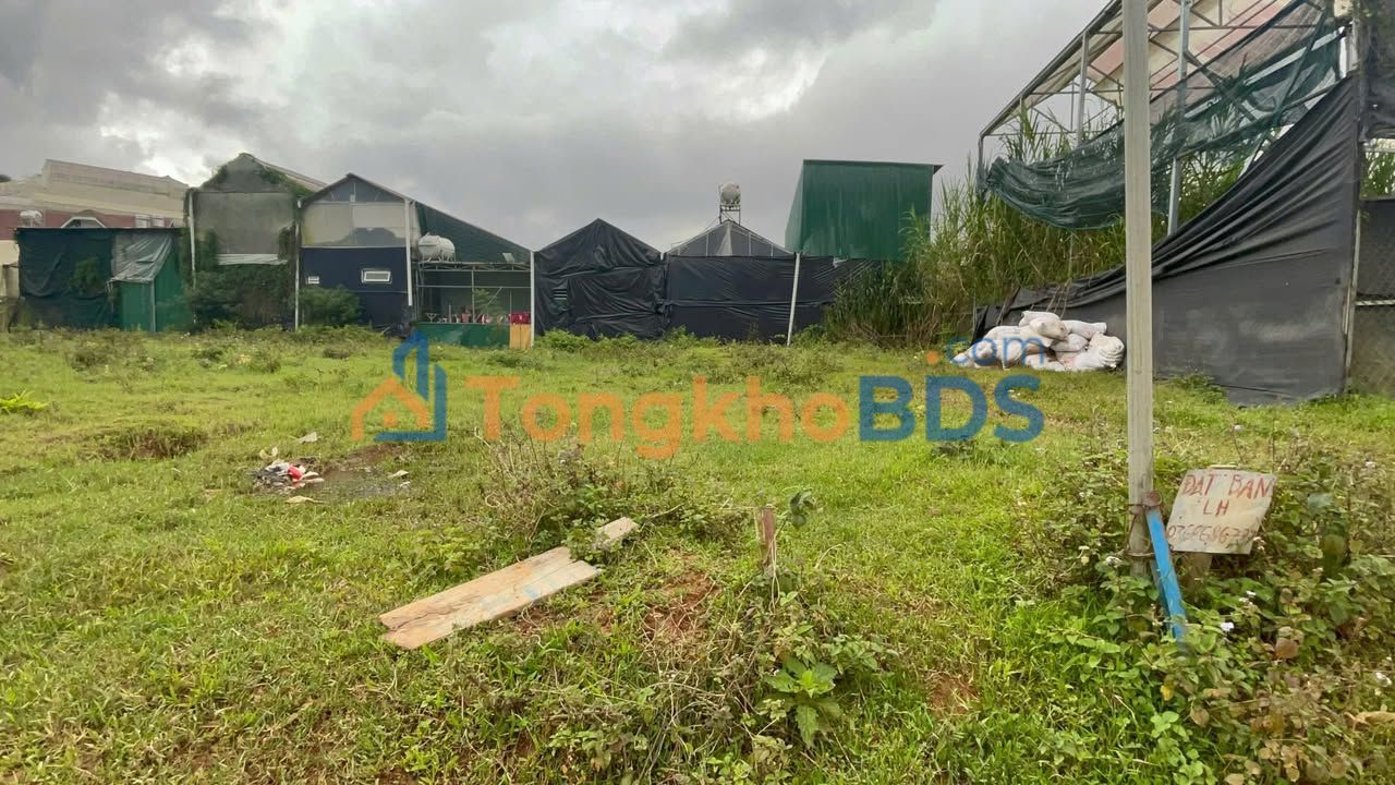 Đất nền Langbiang Đà Lạt 105m² 860tr - Đường ô tô