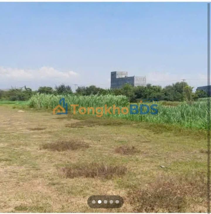 Đất Ninh Phước Bảo Vinh 1.280m² 250 triệu - Sổ đỏ chính chủ