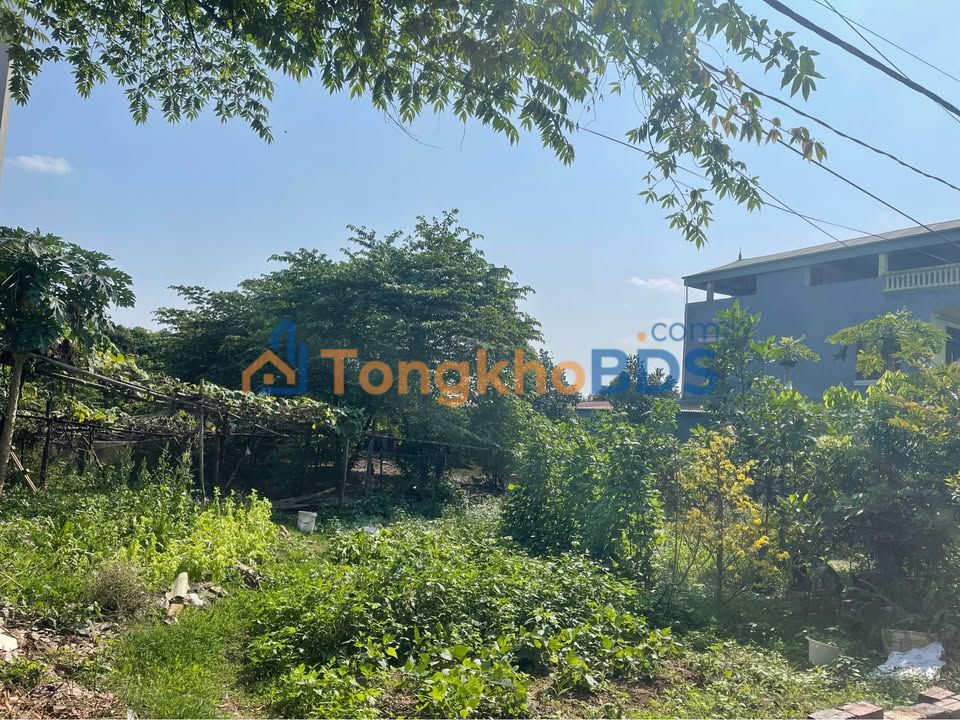 Đất nền Bắc Thượng Quang Tiến 113m2 - Tiềm năng tăng giá