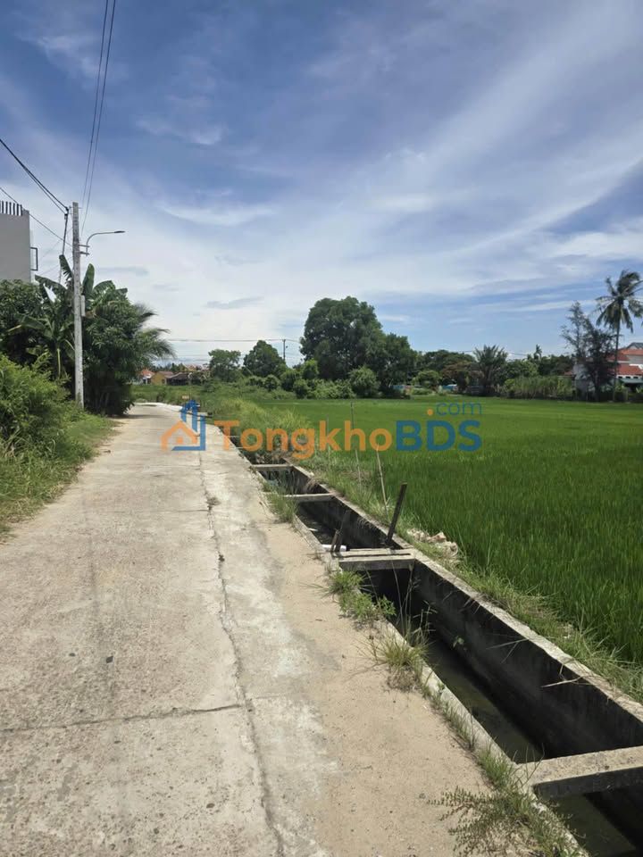 Đất nền Cẩm Phô Hội An 750m² 4 tỷ - Xây dựng tự do