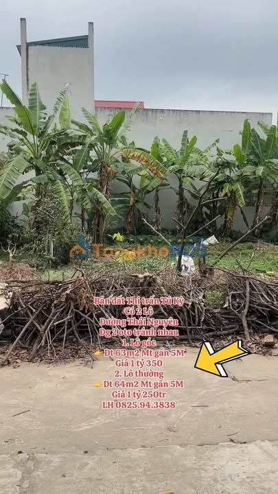 Đất nền Tứ Kỳ Hải Phòng 64m² 1.25 tỷ - Sổ đỏ chính chủ