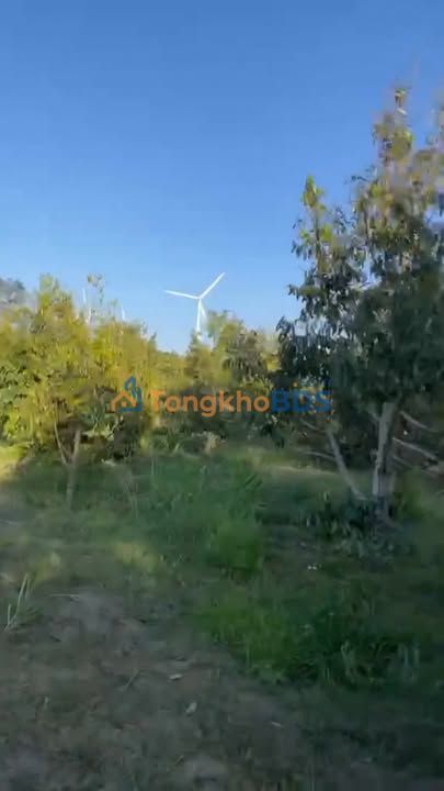 Đất trang trại Ea Nam 1.5ha giá 2.4 tỷ - Sổ đỏ chính chủ