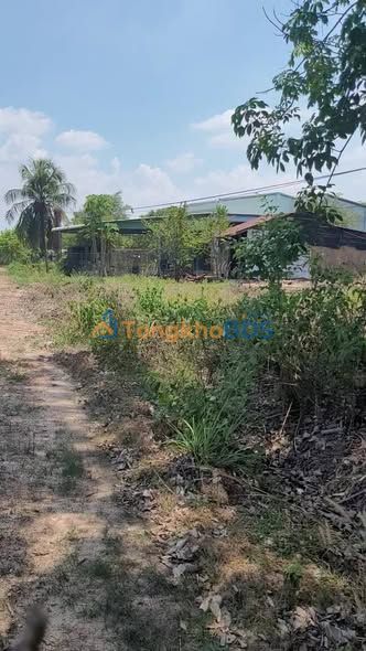 Đất nền Tây Ninh Phước Vinh 1000m² 199tr - Giá đầu tư tốt