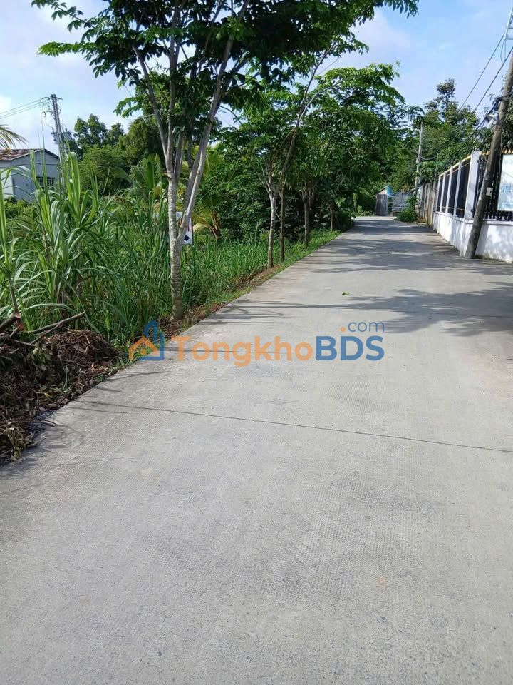 Đất nền Tân Túc Bình Chánh 106m² 2.8 tỷ - Sổ đỏ chính chủ