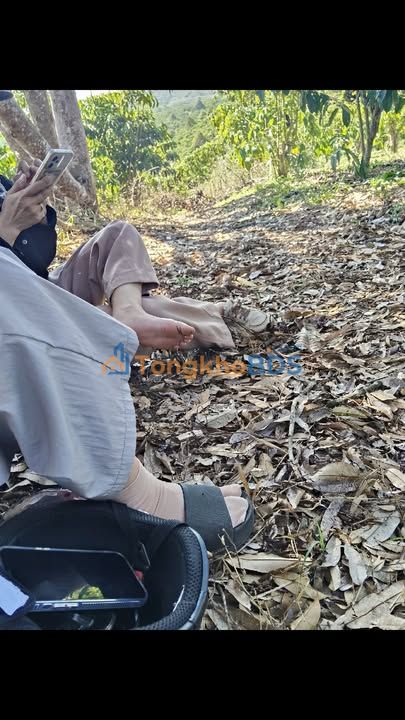 Farm Tân Lạc B'lao 2160m² giá 2.5 tỷ - Đường to ô tô