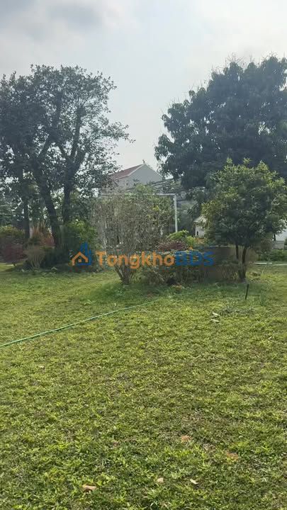 Đất Xuân Mai 1000m² giá thương lượng – Sổ đỏ chính chủ