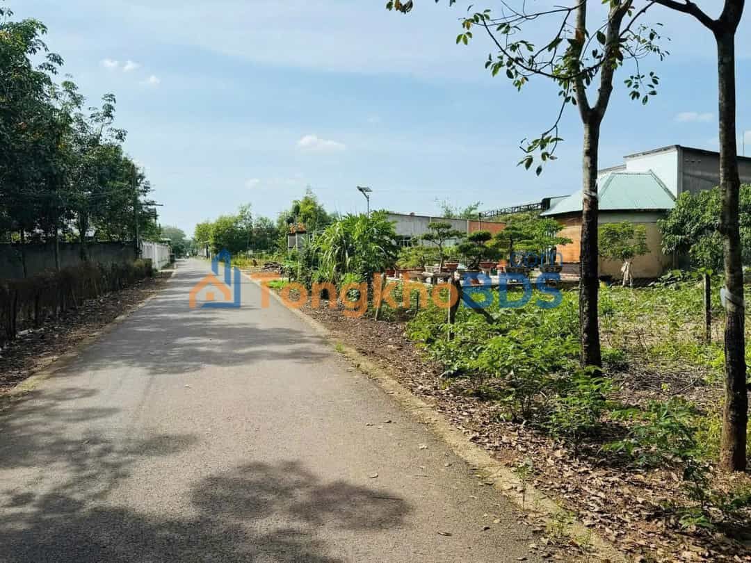 Đất nền Minh Thạnh 250m² 699 triệu sổ đỏ chính chủ