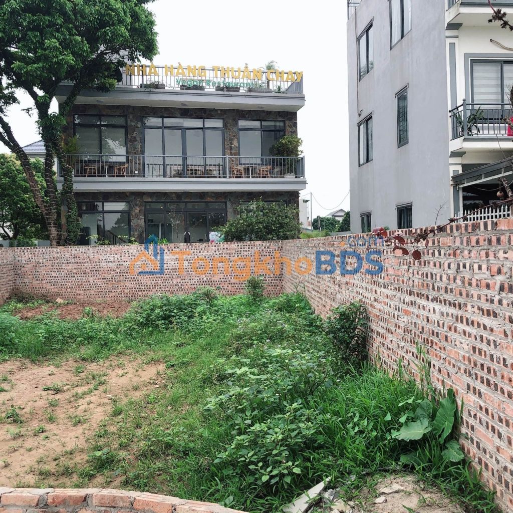 Đất nền Phụng Châu Chương Mỹ 50m² 3 tỷ - Sổ đỏ chính chủ