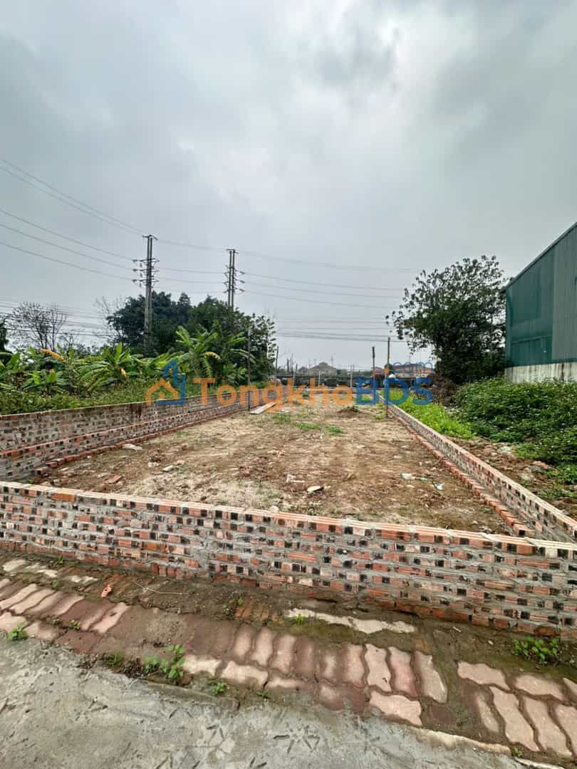 Đất nền Trạm Trôi Hoài Đức 50m² 8 tỷ - Sổ đỏ chính chủ