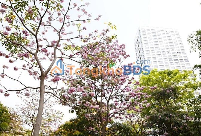 Căn hộ Happy Valley Phú Mỹ Hưng 145m² 15,5 tỷ - View đẹp