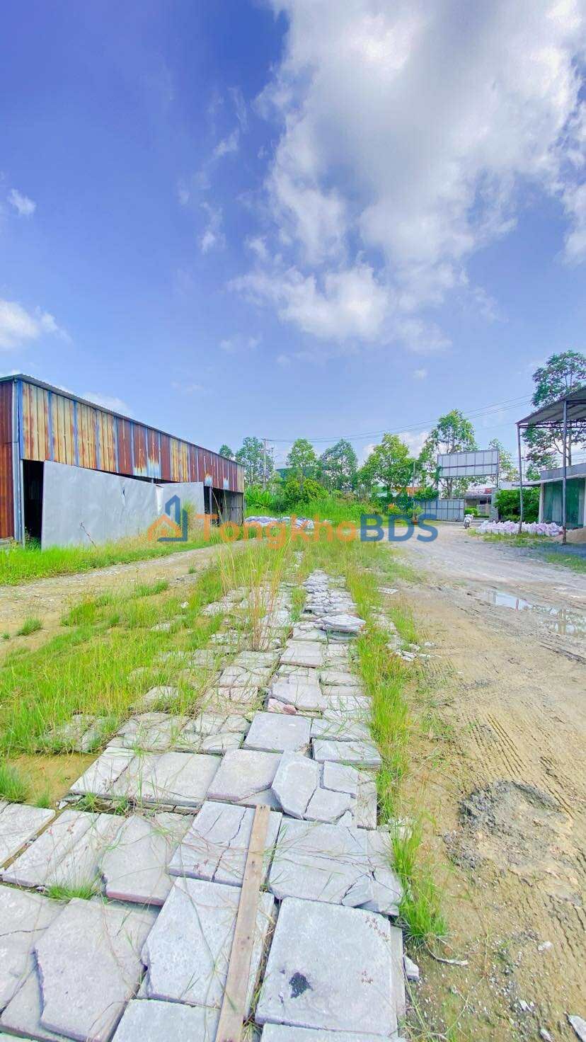Đất thuê Võ Văn Kiệt Bình Thủy 2.800m² 40 triệu - Sổ đỏ chính chủ