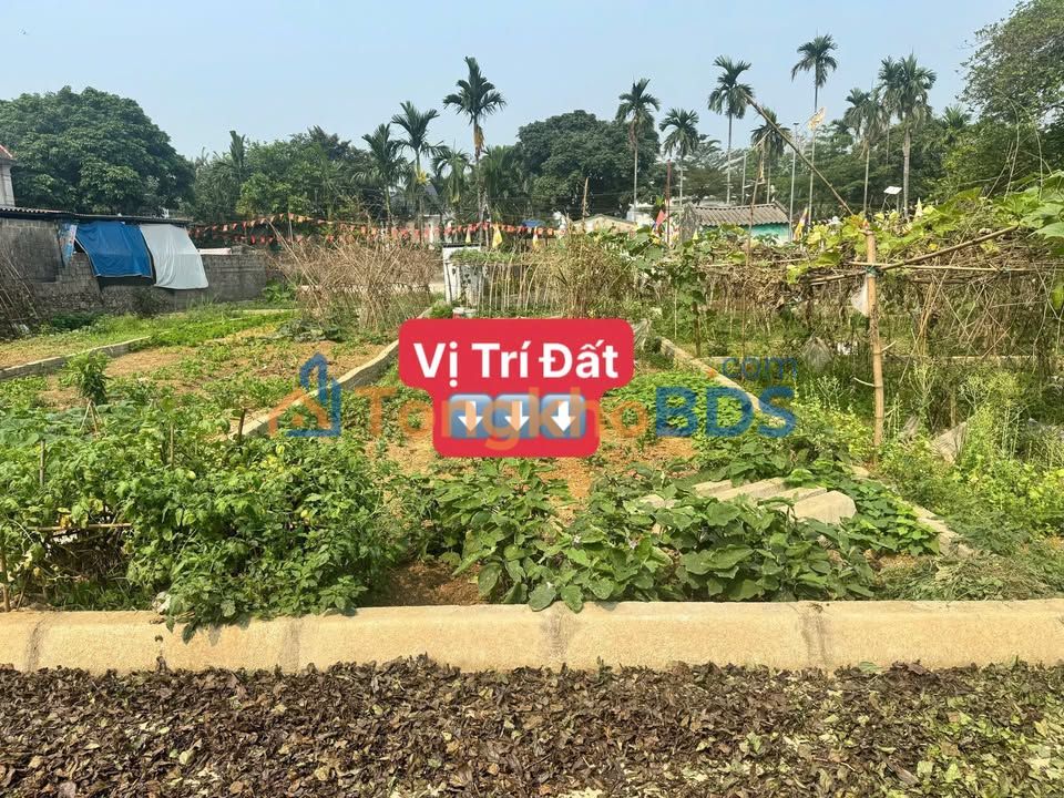 Đất nền La Đồng Hợp Thanh Mỹ Đức 103m² - Sổ đỏ chính chủ