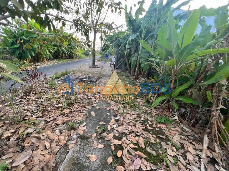 Đất nền Đường số 5 Tân Xuyên 198m² 1 tỷ - Pháp lý rõ ràng