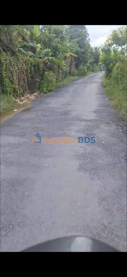 Đất nền An Cư Cái Bè 384m² 1,25 tỷ - Tiềm năng tăng giá