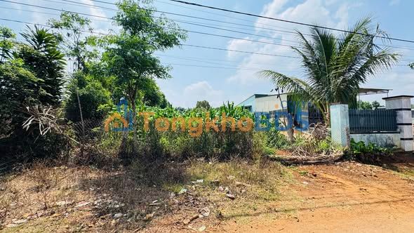 Đất nền An Phú Gia Lai 900m² 3.1 tỷ - Tiềm năng tăng giá