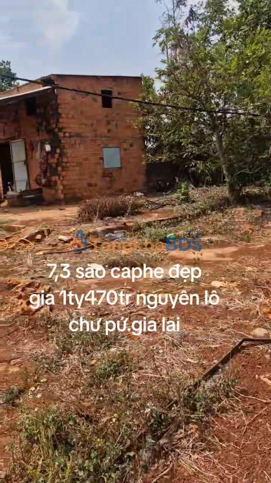 Đất nền Ia Hla Gia Lai 2.628m² - Sổ đỏ chính chủ