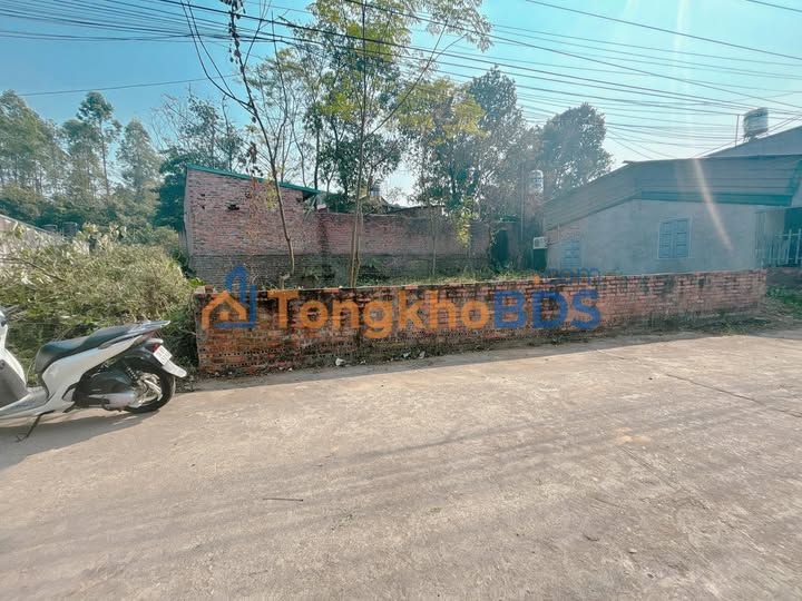 Đất nền Thụy Vân Phú Thọ 96m² 1 tỷ - Sổ đỏ chính chủ