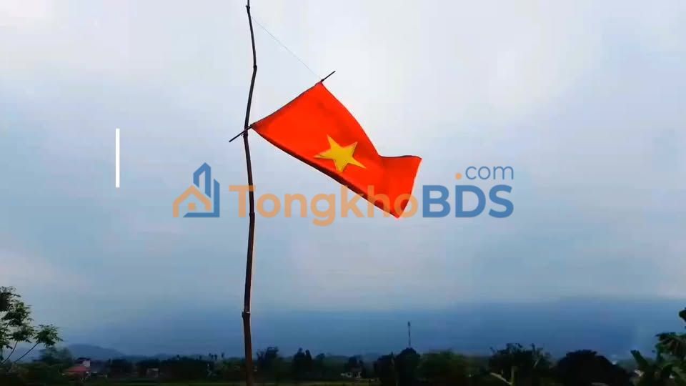 Đất Phú Thọ Lương Sơn 2.000m² - Đầu tư dài hạn bền vững