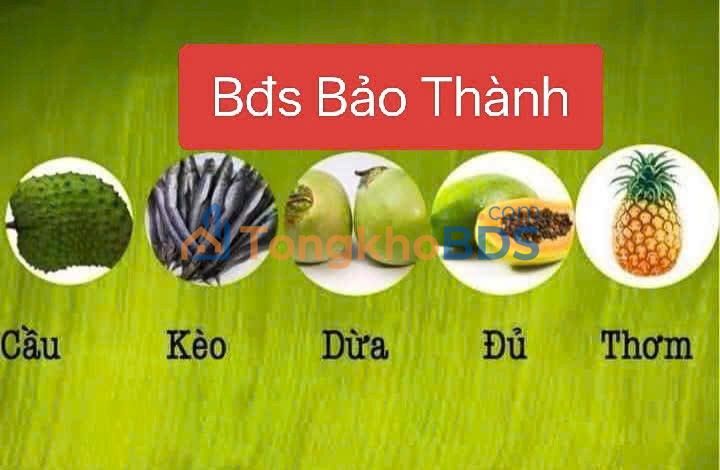 Đất nền Đường số 1 Bình Tân 60m² 7.5 tỷ - Sổ đỏ chính chủ