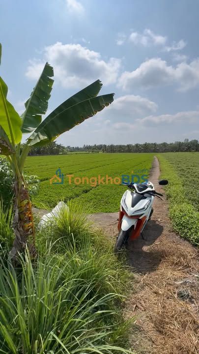 Dat nen Tam Hiep 2000m2 800 trieu - Dat tho cu 100%