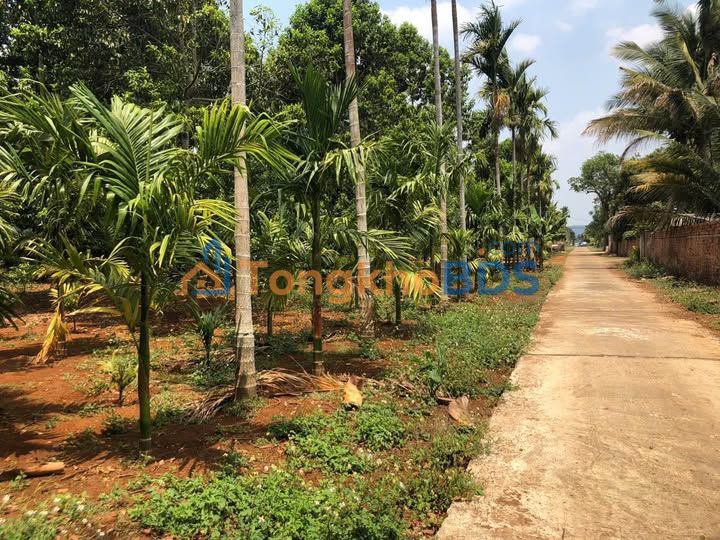 Đất Y Wang Thành Công 1.140m² 2.7 tỷ - Xây dựng tự do