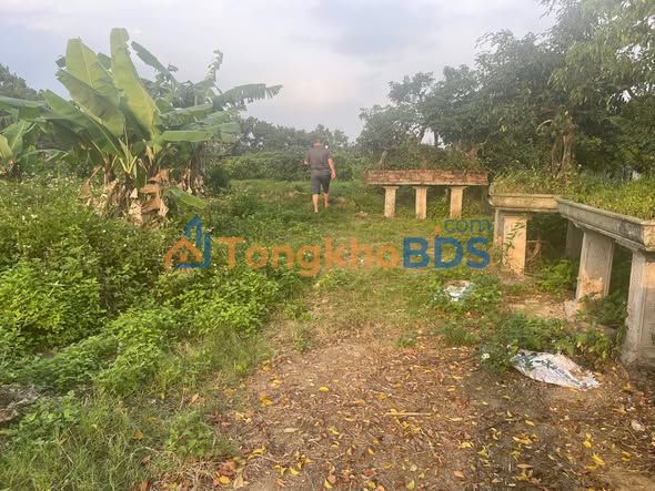 Đất nền Tiên Tiến Phù Cừ 400m² 3.2 tỷ - Đường to ô tô