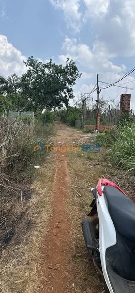 Đất nền Chư Sê 400m² 620 triệu - Tiềm năng tăng giá