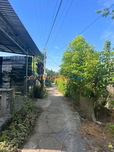 Đất nền Đa Phước Hội 296m² 1 tỷ - Thổ cư 100%