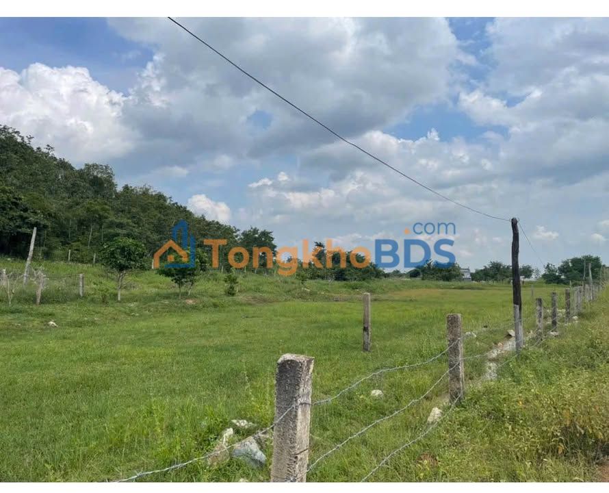 Đất Thuận Hoà Phan Thiết 1.000m² 280 triệu - View thiên nhiên