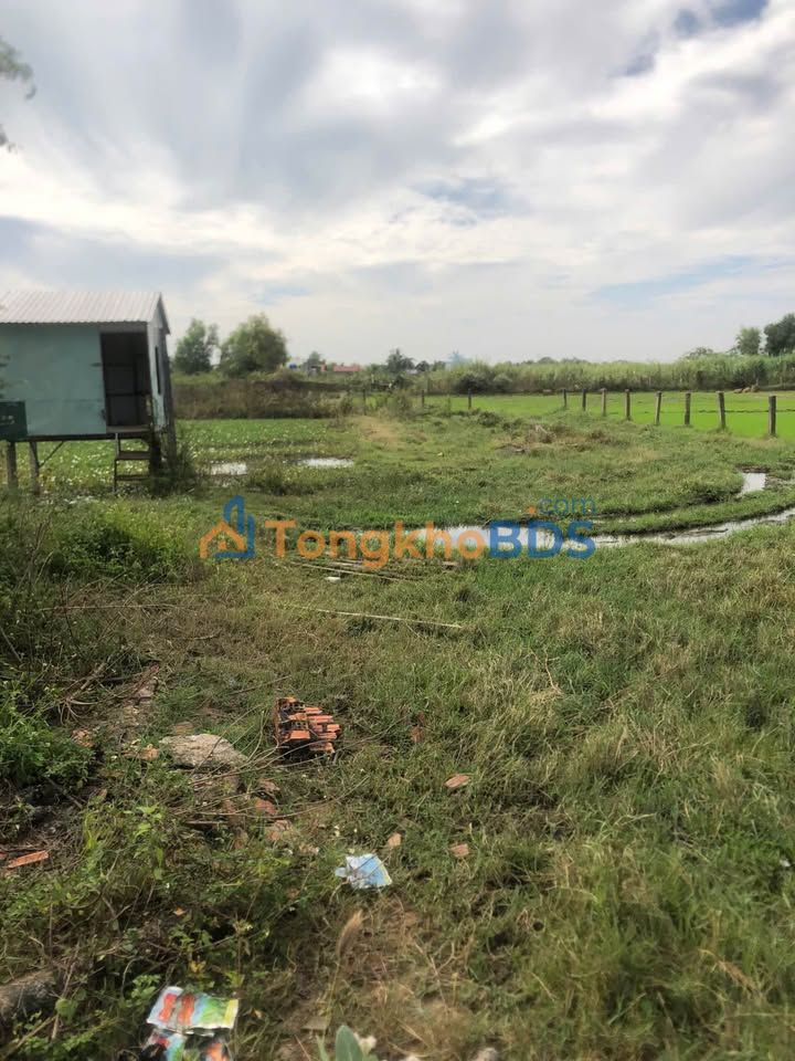 Đất thổ cư Thôn 6 Hàm Chính 1000m² 700tr - Vị trí đẹp